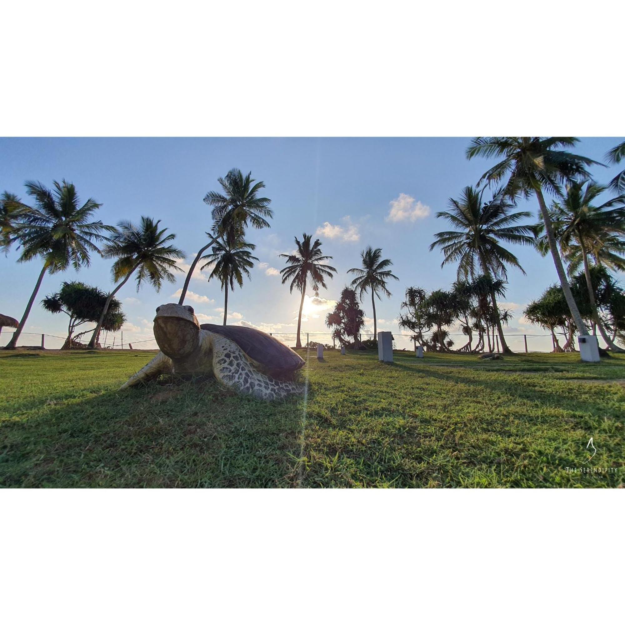 Green Turtle Villa By The Serendipity Collection Bentota Luaran gambar